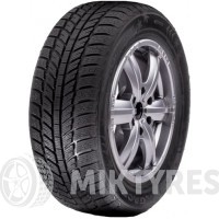 Roadx RXFrost WH01 195/45 R16 84H